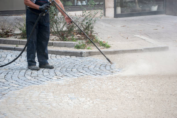 Best Dumpster Area Cleaning  in Peach Lake, NY